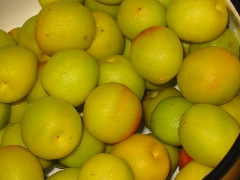 b0039373_111745.jpg