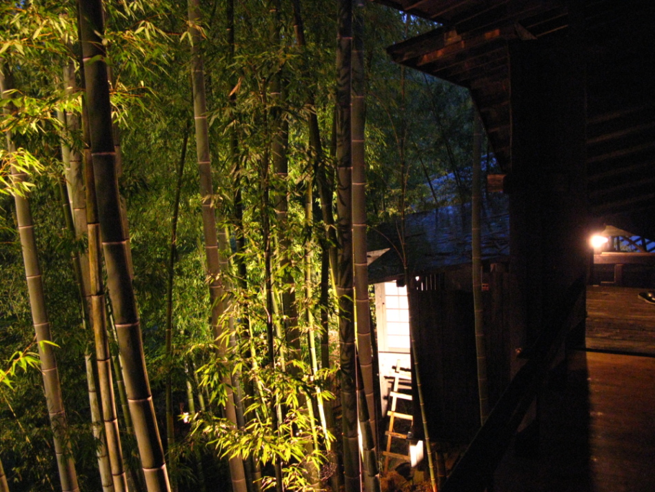 d0055273_28151.jpg
