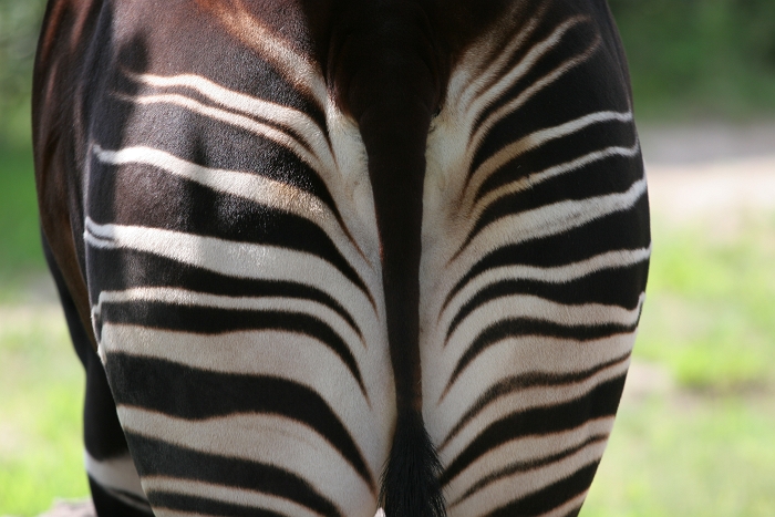 f0115475_12131539.jpg