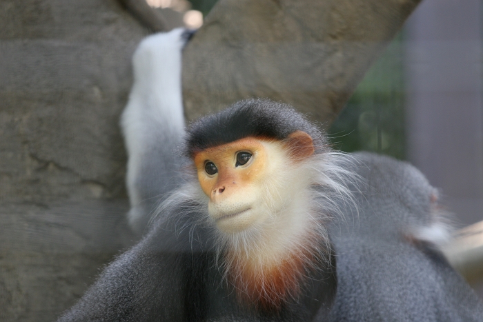 f0115475_128835.jpg