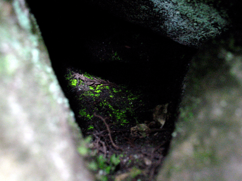 d0126577_13393344.gif