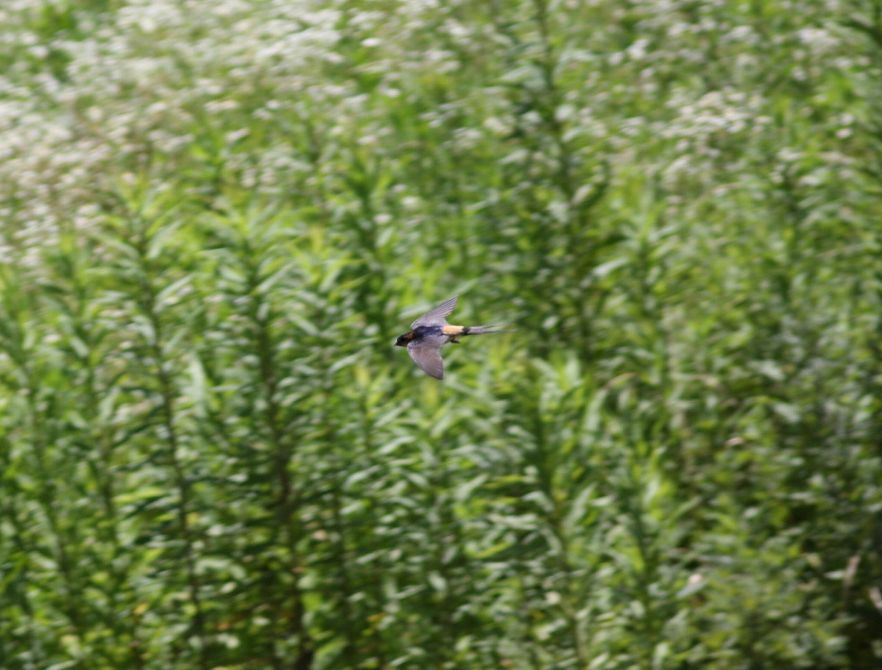 e0018678_22432560.jpg