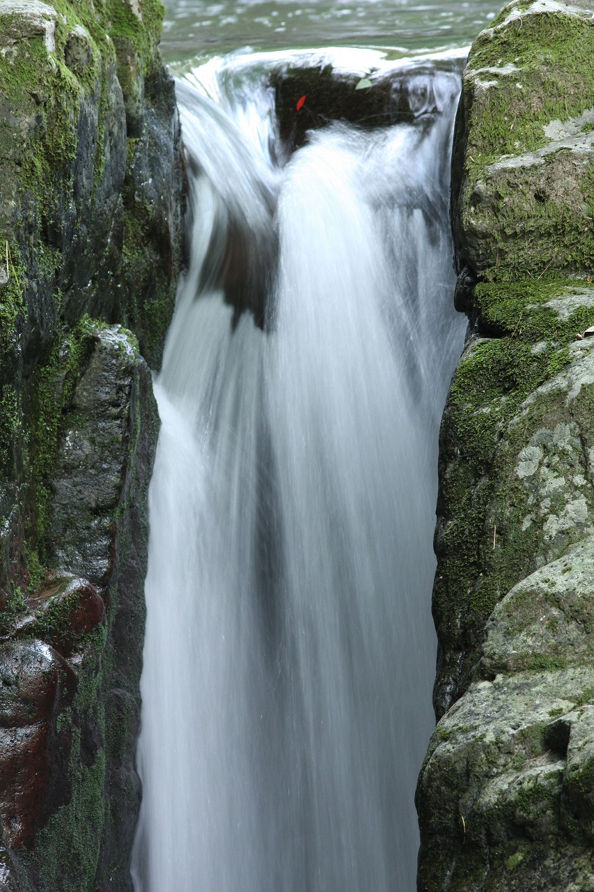 e0018678_2246412.jpg