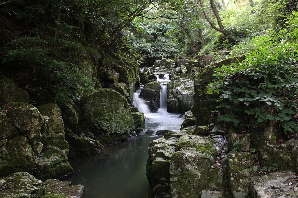 e0018678_22501091.jpg