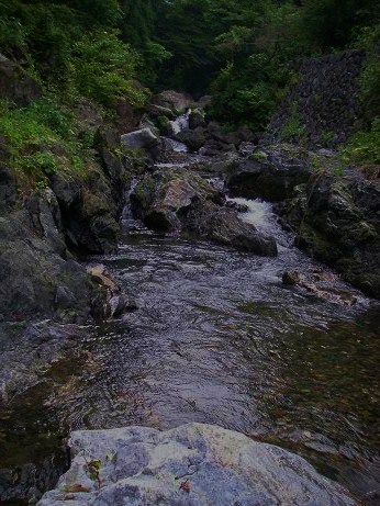 c0136486_20581127.jpg