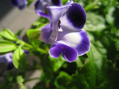 c0132387_0332639.jpg