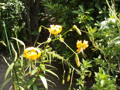 f0130894_20462679.jpg