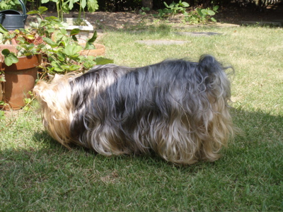 f0130894_20524071.jpg