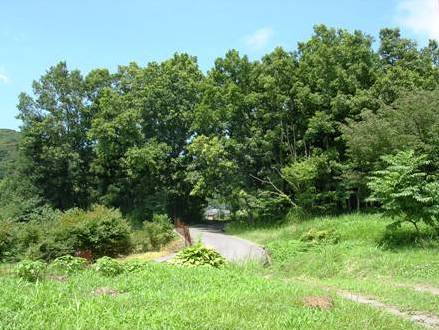 b0126098_8452479.jpg
