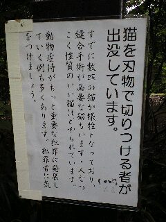 d0070702_22221350.jpg