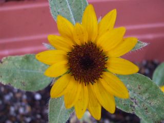 c0103205_2054174.jpg