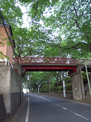 e0145805_211989.jpg