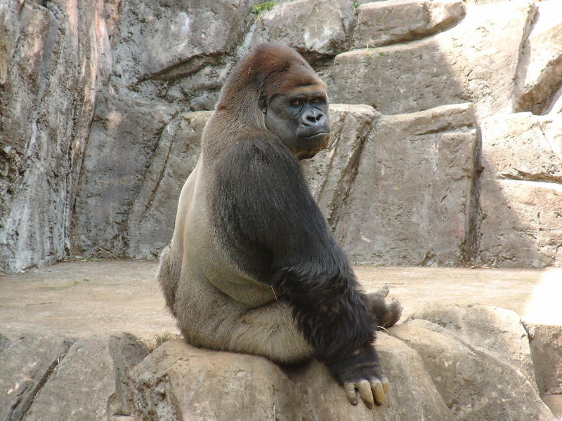 c0032006_9163537.jpg