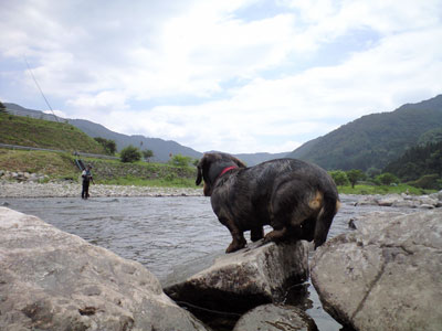 f0135908_2242519.jpg