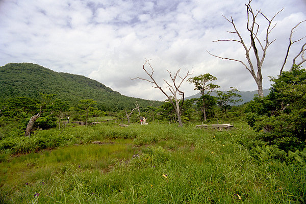 c0028713_1833075.jpg