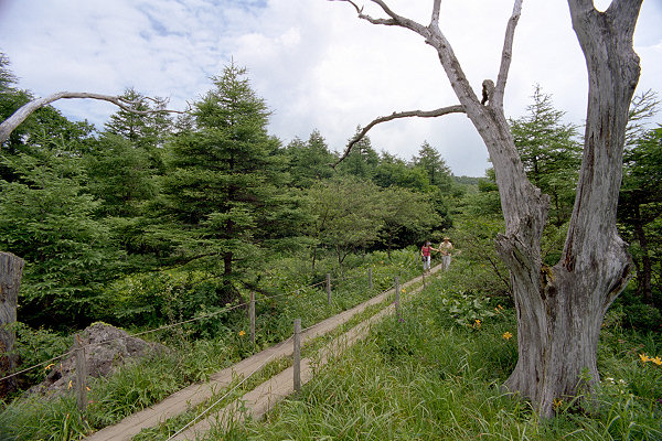 c0028713_18331241.jpg