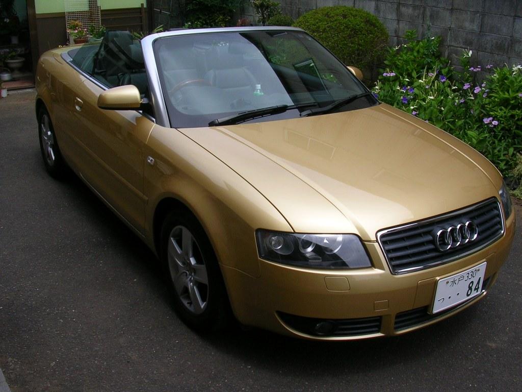 b0094614_1651567.jpg