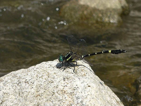 e0002314_13203210.jpg