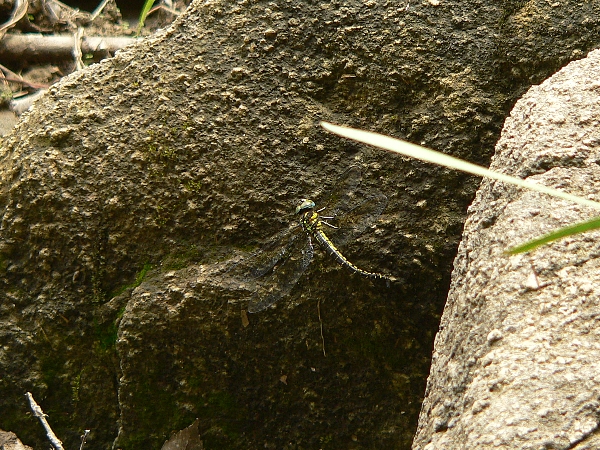 e0002314_13215667.jpg