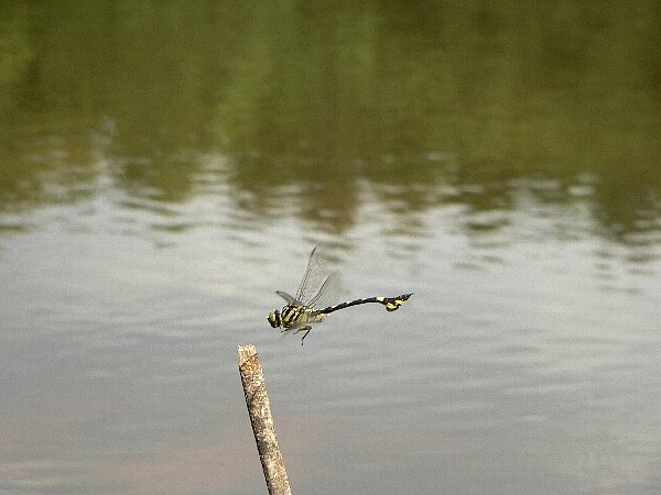 e0002314_13233259.jpg