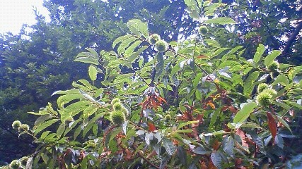 f0167314_20235957.jpg