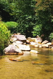 e0129517_17502631.jpg