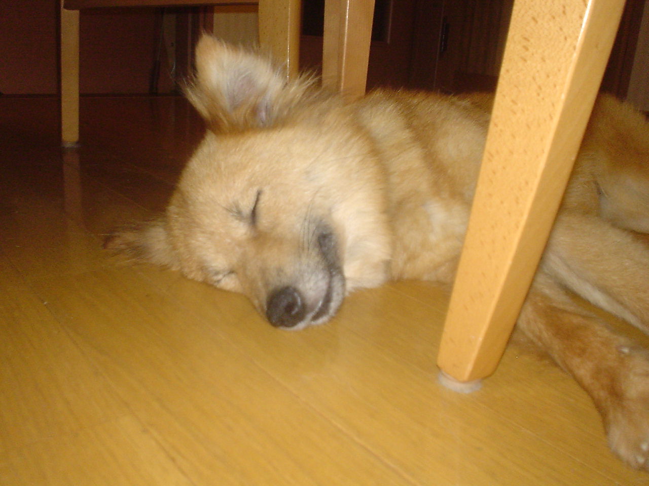 c0150520_2233415.jpg