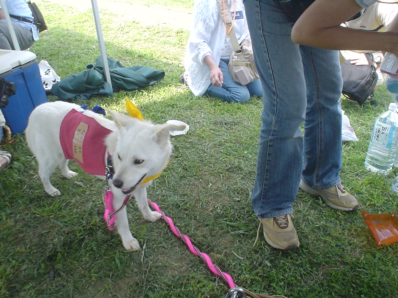 c0150520_2265945.jpg