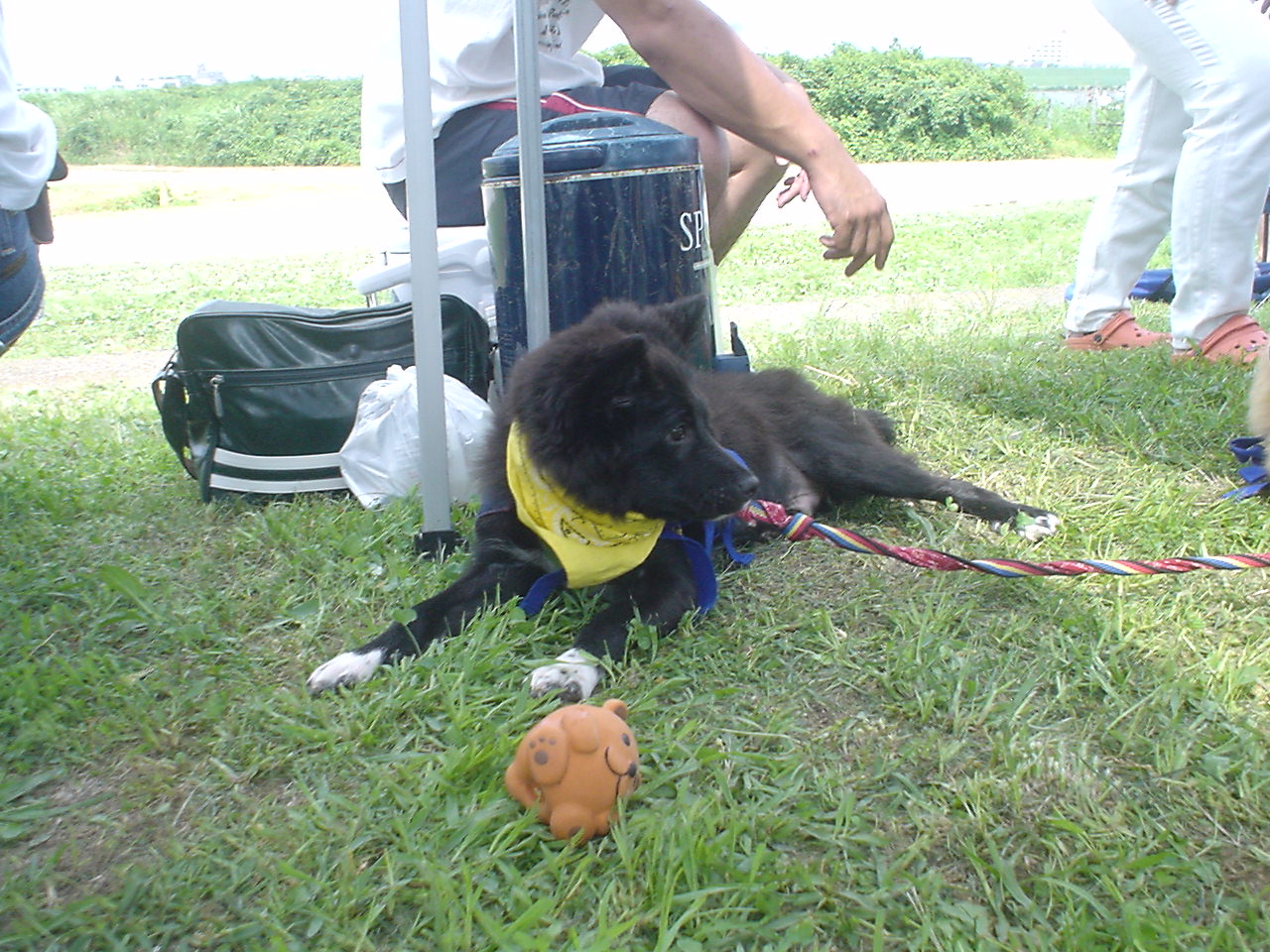 c0150520_2275543.jpg