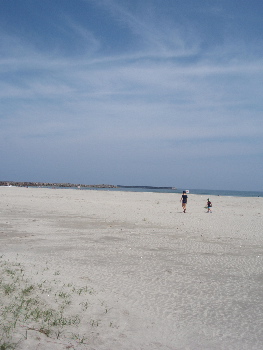 c0025422_23385897.jpg