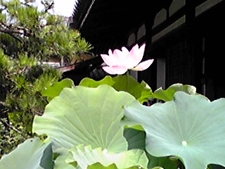 c0147822_20564696.jpg
