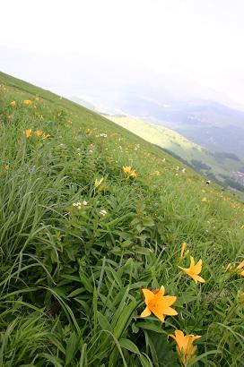 c0157226_235257100.jpg