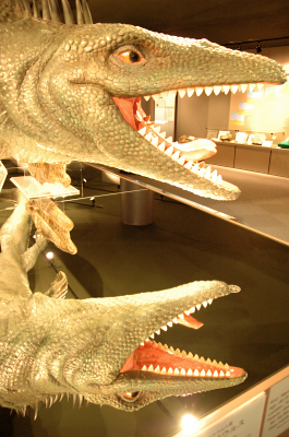 e0064128_2152727.jpg