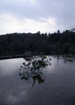 b0035734_2051188.jpg