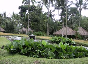 b0035734_20575015.jpg