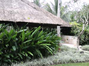 b0035734_2058033.jpg