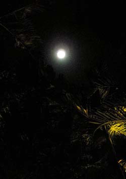 b0035734_21245148.jpg