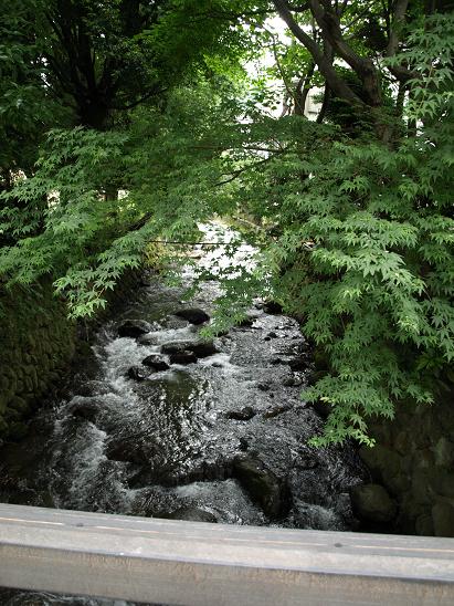 f0005334_21174055.jpg
