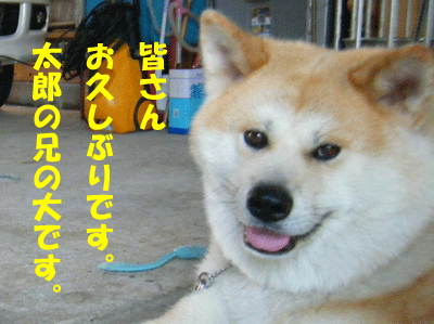 f0008935_16194075.gif