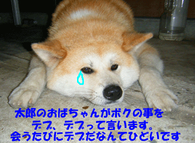 f0008935_16195042.gif