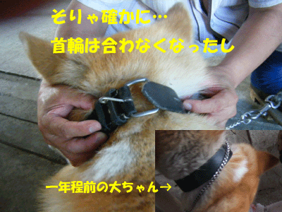 f0008935_1620035.gif