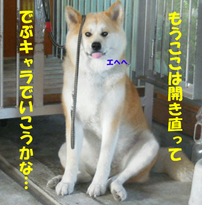 f0008935_16201888.gif