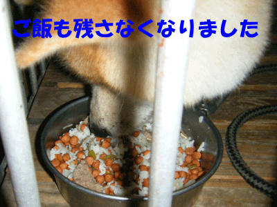 f0008935_1620921.gif