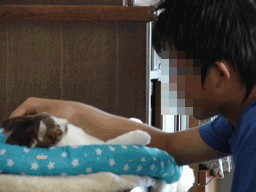 c0136736_2143650.gif