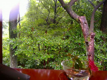 c0056437_0324957.jpg