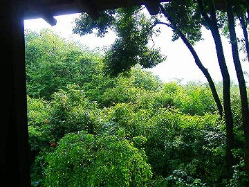 c0056437_0362734.jpg