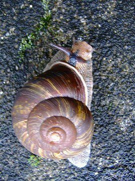 c0056437_072824.jpg