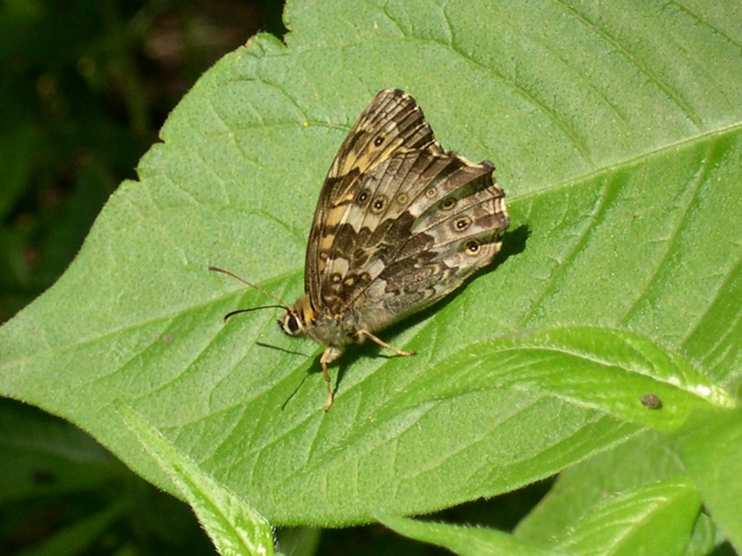 f0164137_22234862.jpg