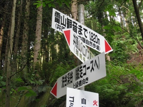 c0077338_12343290.jpg
