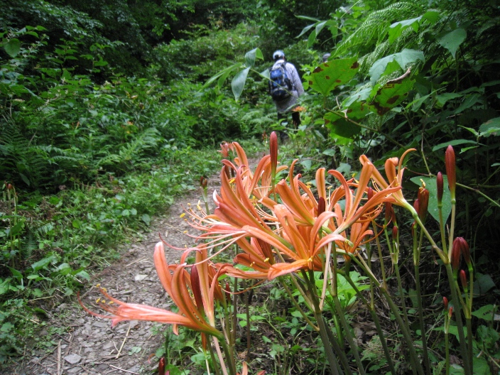c0077338_22471788.jpg